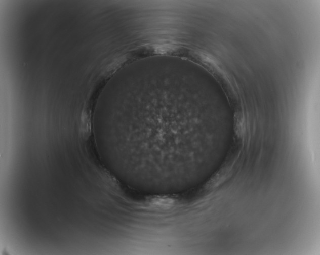 X0000089660471200707051533