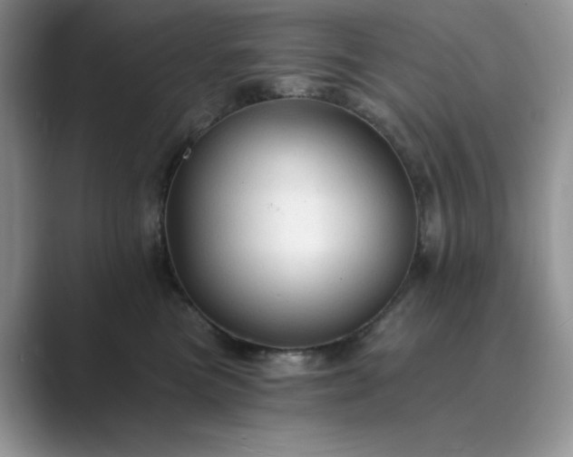 X0000089660473200707051533