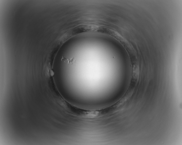 X0000089660474200707051533