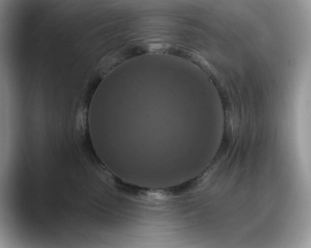 X0000089660475200707051533