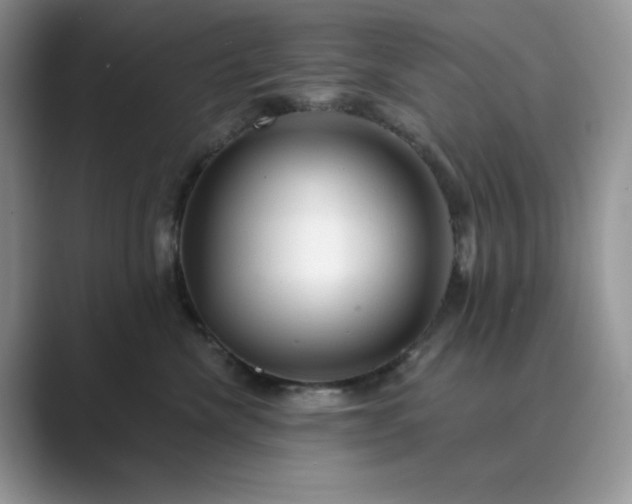 X0000089660476200707051533