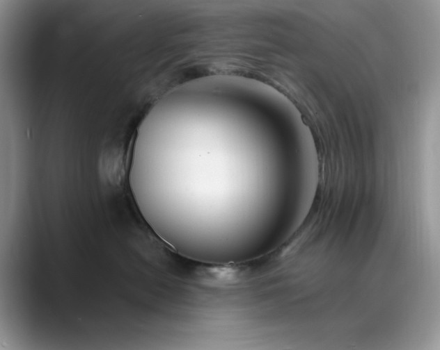 X0000089660478200707051533