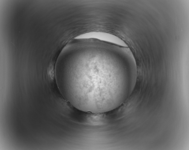 X0000089660479200707051533