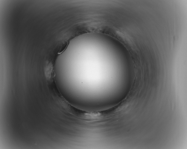 X0000089660480200707051533