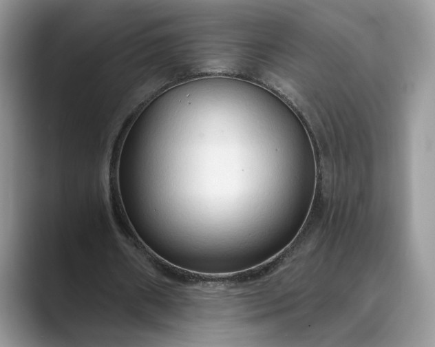 X0000089660482200707051533