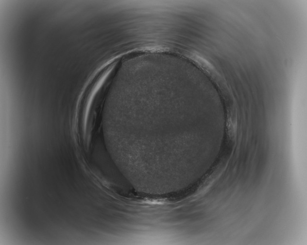 X0000089660484200707051533