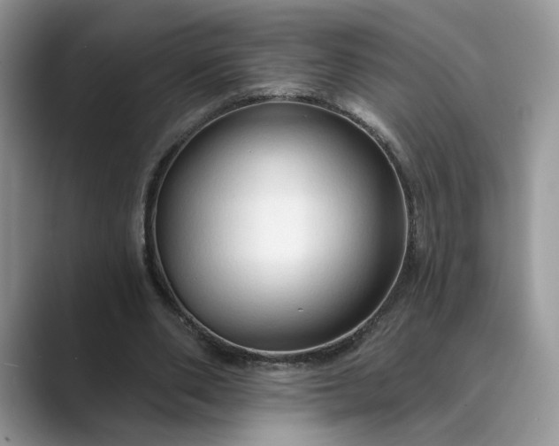 X0000089660486200707051533