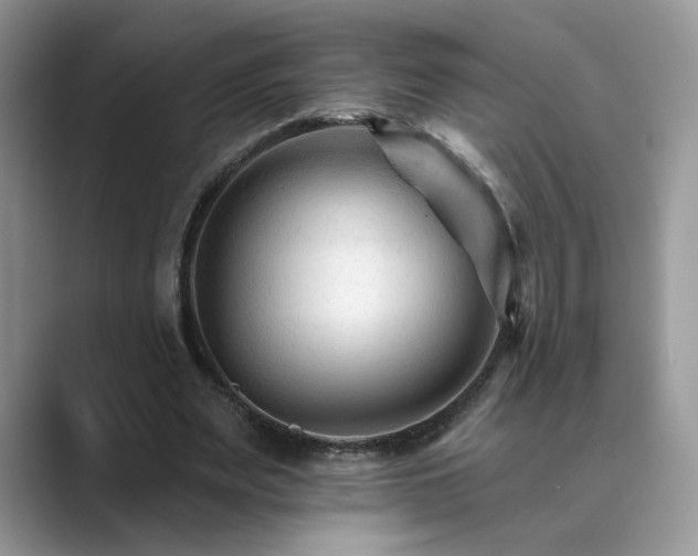 X0000089660487200707051533