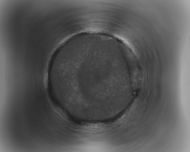 X0000089660488200707051532