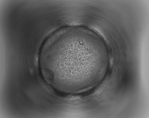 X0000089660491200707051532