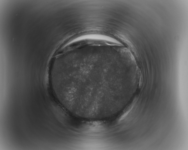 X0000089660492200707051532