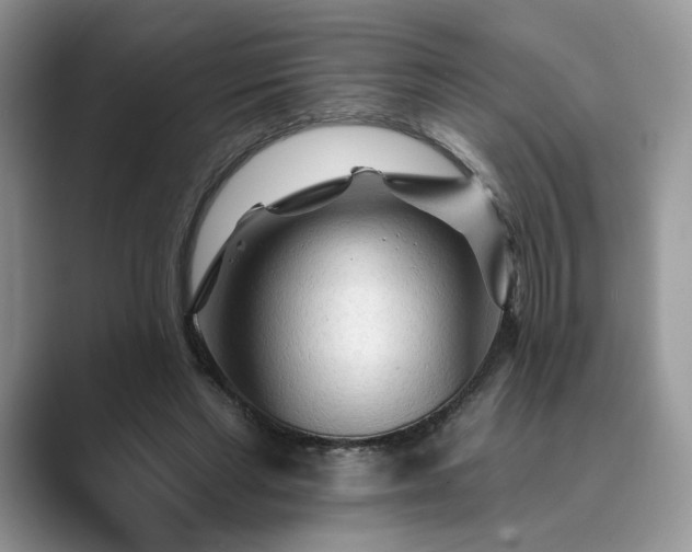 X0000089660493200707051532