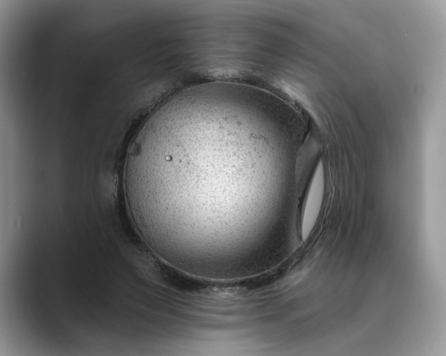 X0000089660495200707051532