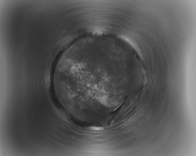 X0000089660496200707051532