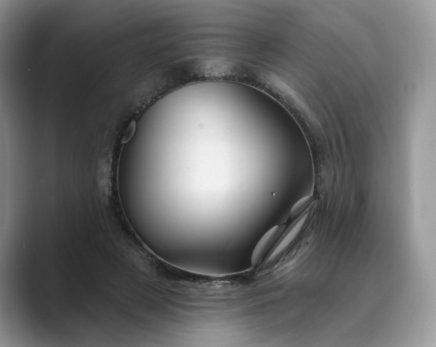 X0000089660497200707051532