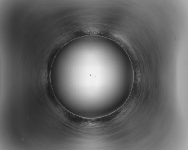 X0000089660498200707051532