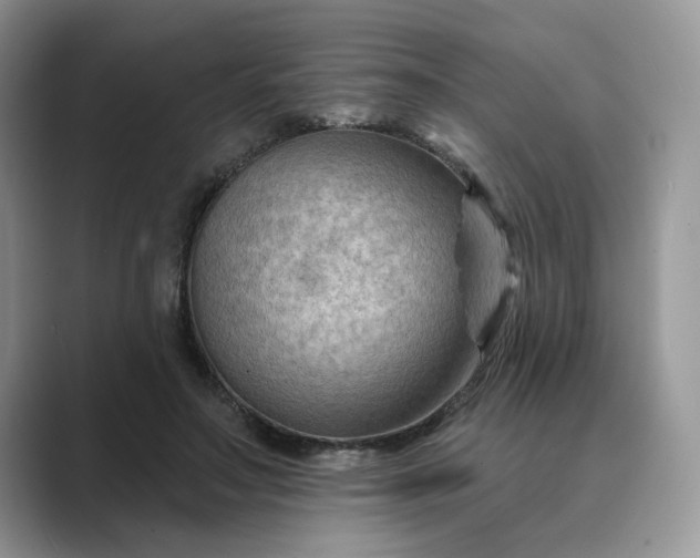 X0000089660499200707051532