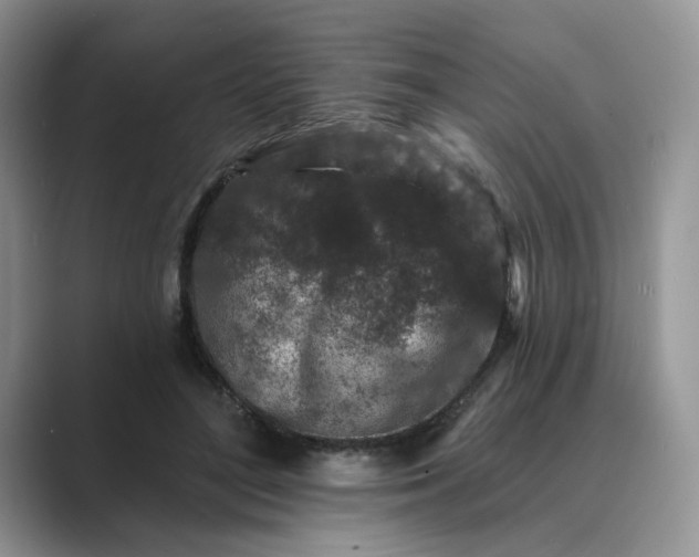 X0000089660500200707051532