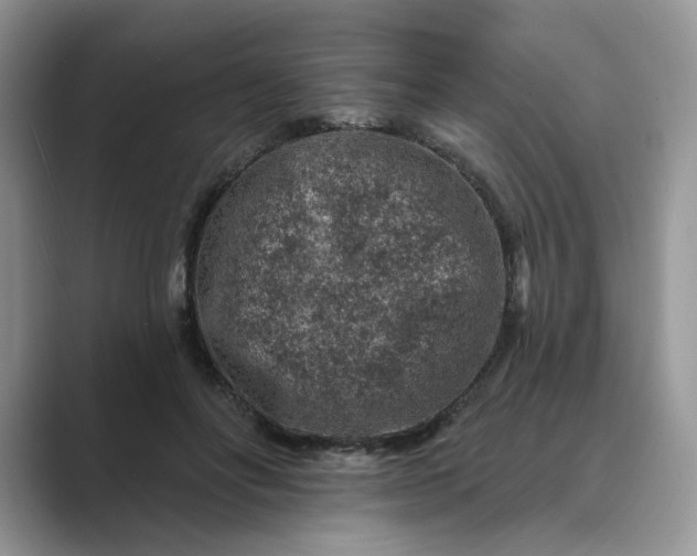 X0000089660502200707051532