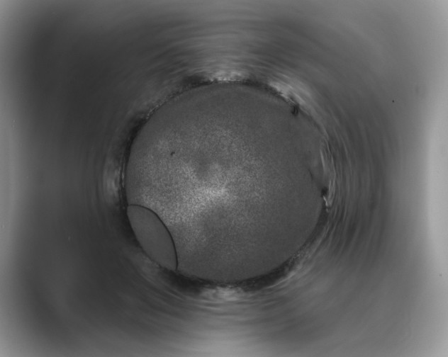 X0000089660503200707051532