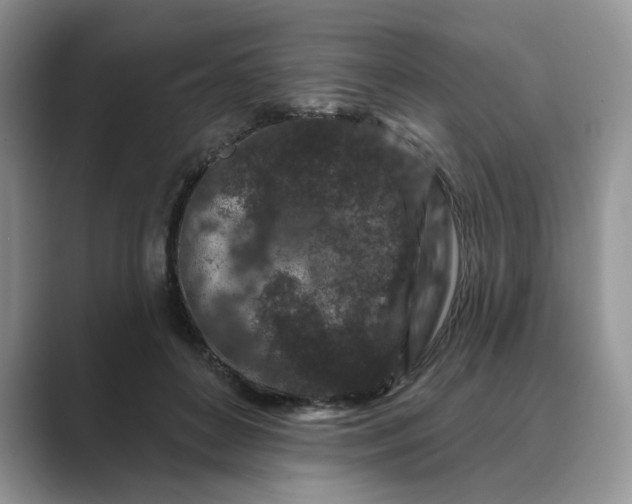 X0000089660504200707051532