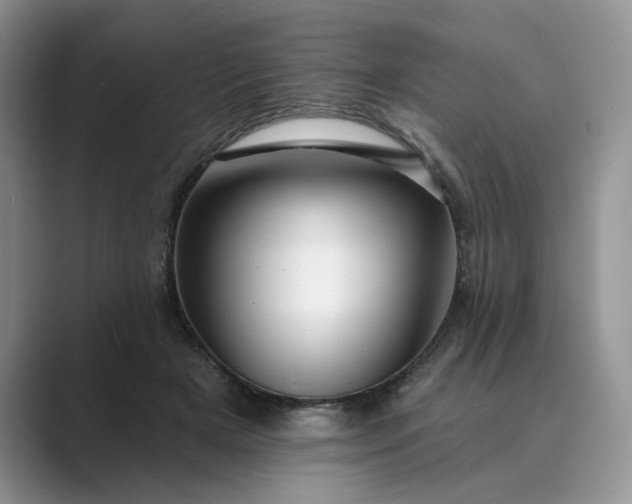 X0000089660505200707051532