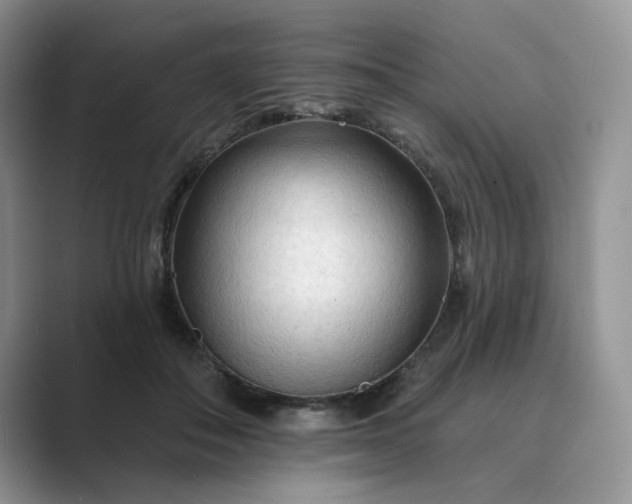 X0000089660506200707051532