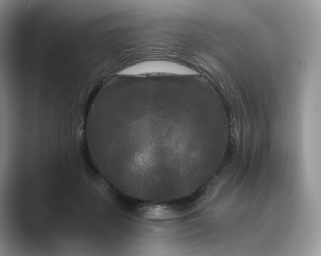 X0000089660507200707051532