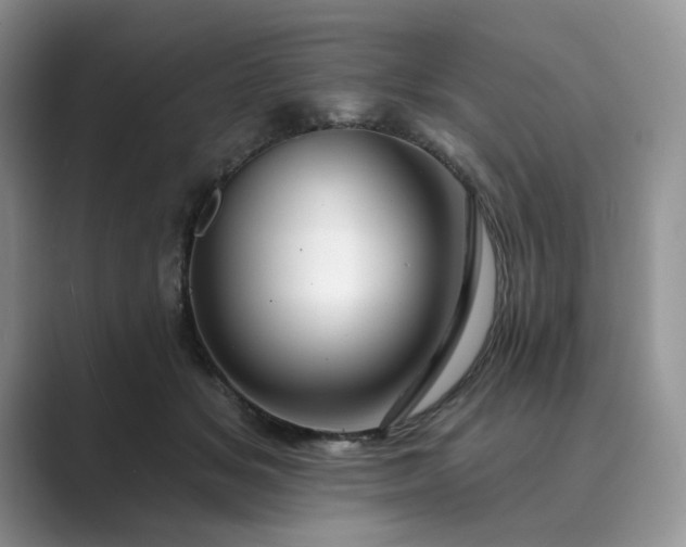 X0000089660509200707051532