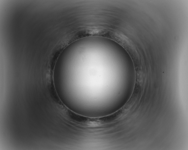 X0000089660510200707051532