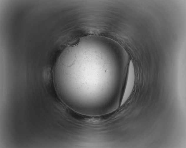 X0000089660511200707051532