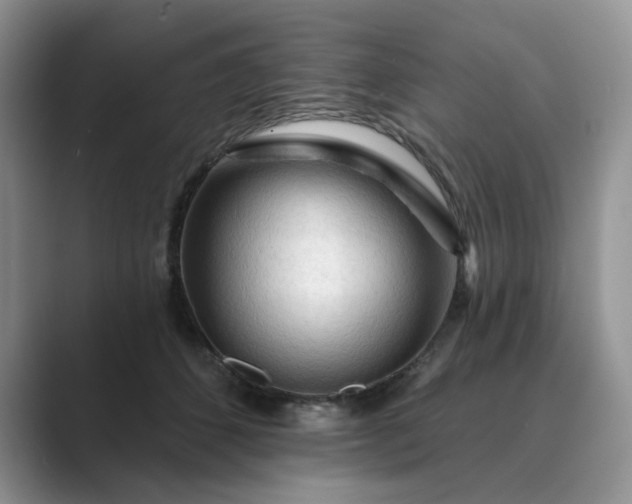 X0000089660512200707051532