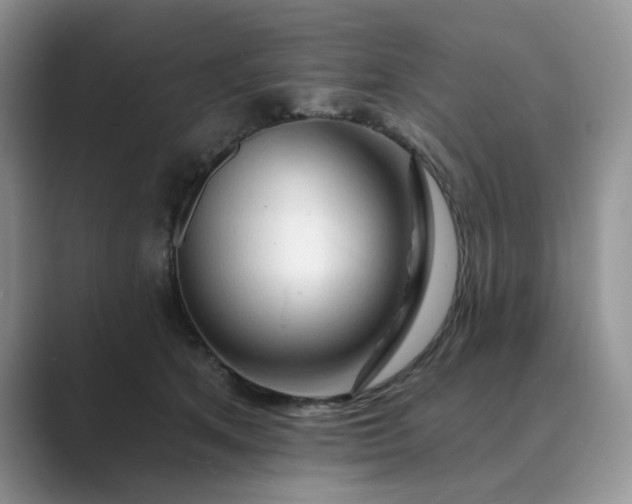 X0000089660513200707051532