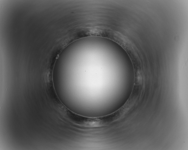 X0000089660514200707051532