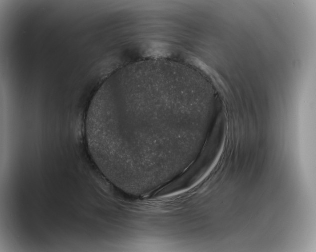 X0000089660517200707051532