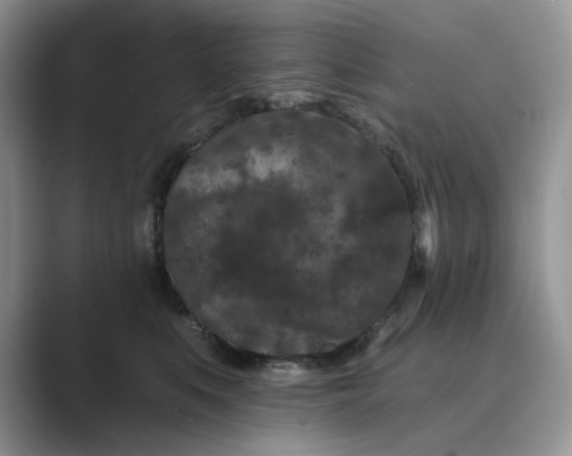 X0000089660519200707051532