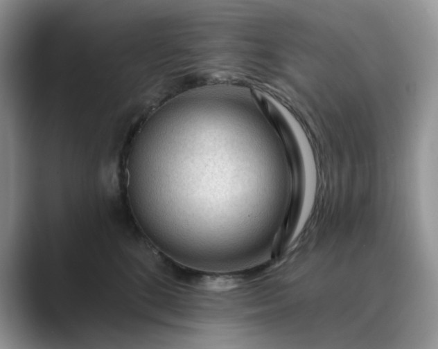 X0000089660520200707051532