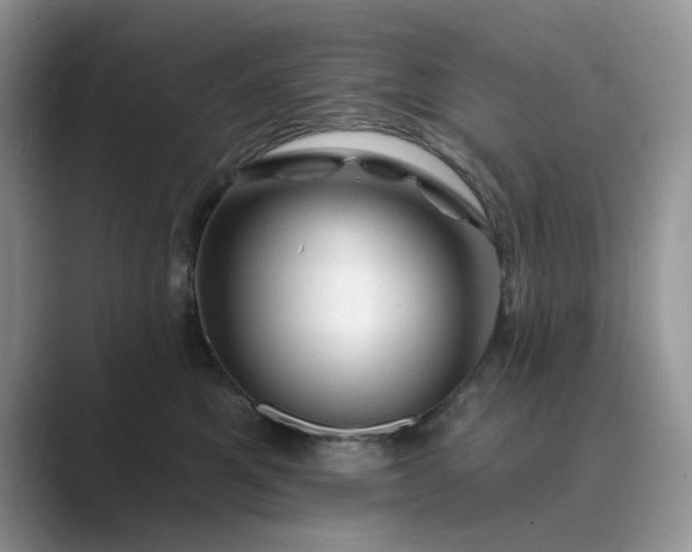 X0000089660521200707051532