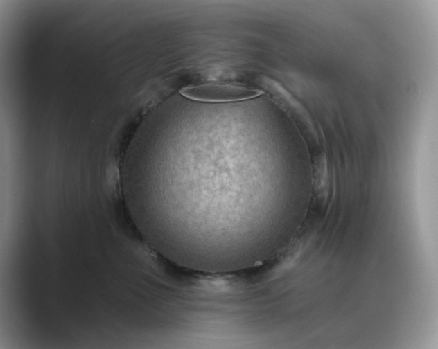 X0000089660523200707051532