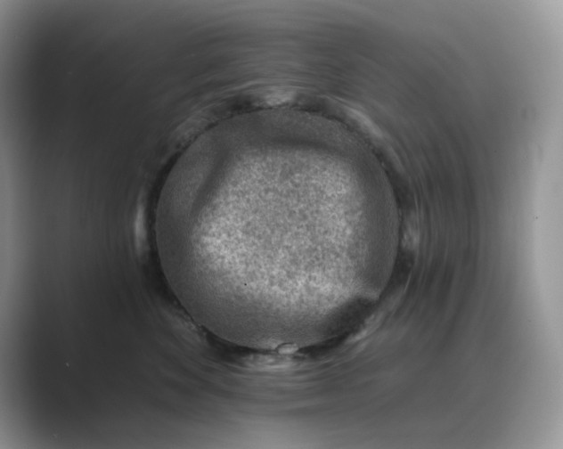 X0000089660524200707051532