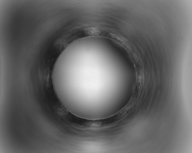 X0000089660525200707051532