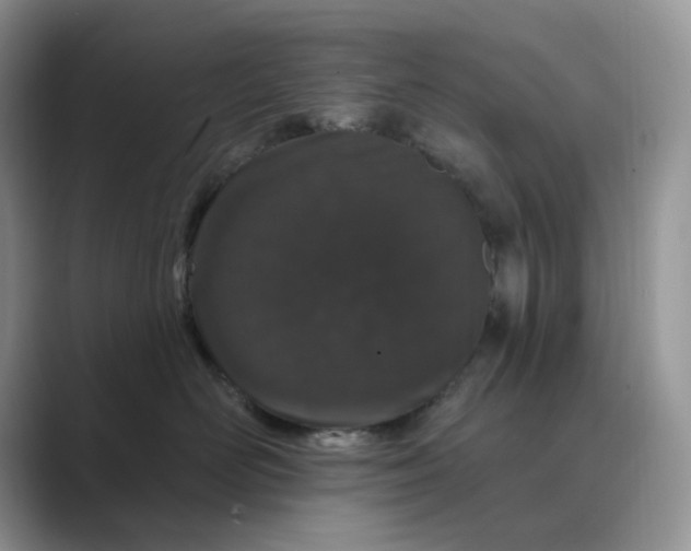 X0000089660526200707051532