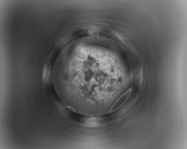 X0000089660527200707051532