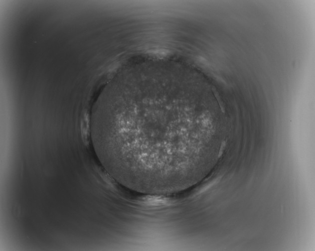 X0000089660528200707051532