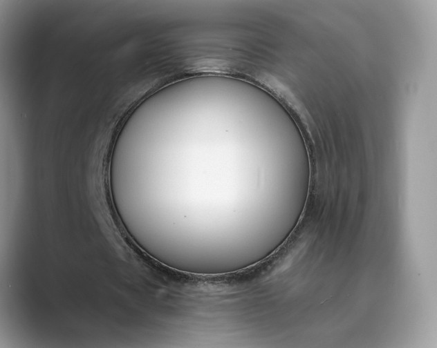 X0000089660529200707051531