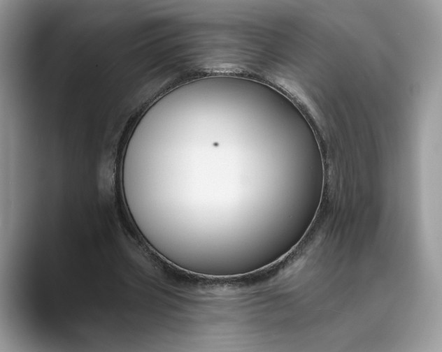 X0000089660533200707051531