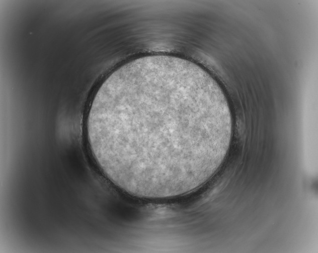 X0000089660534200707051531