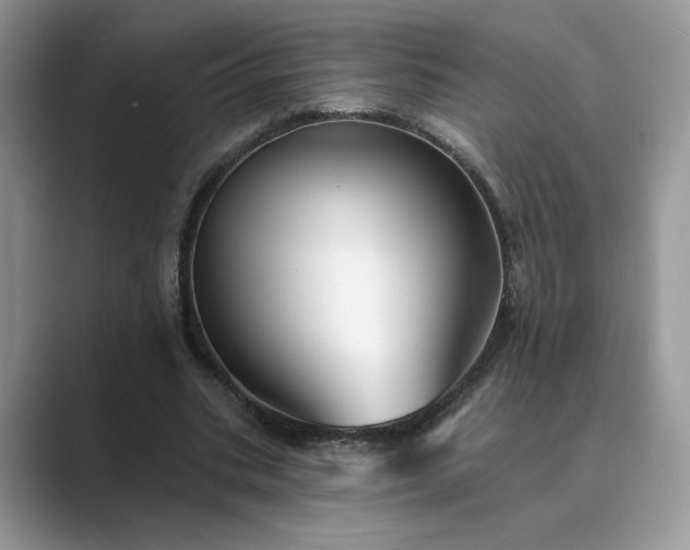 X0000089660535200707051531