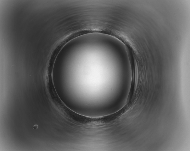 X0000089660536200707051531