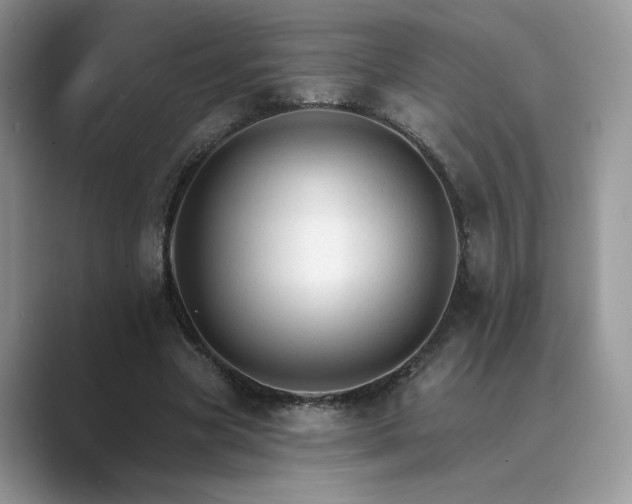 X0000089660537200707051531